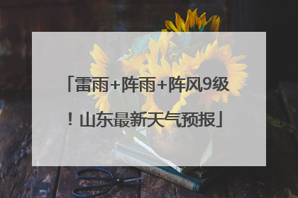雷雨+阵雨+阵风9级！山东最新天气预报