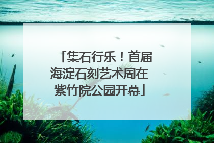 集石行乐！首届海淀石刻艺术周在紫竹院公园开幕