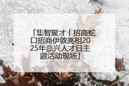 集智聚才丨招商蛇口招商伊敦亮相2025年嘉兴人才日主题活动现场