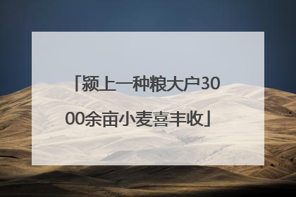 颍上一种粮大户3000余亩小麦喜丰收