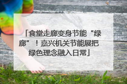 食堂走廊变身节能“绿廊”！嘉兴机关节能展把绿色理念融入日常