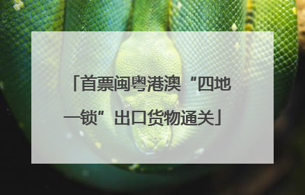 首票闽粤港澳“四地一锁”出口货物通关