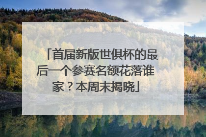 首届新版世俱杯的最后一个参赛名额花落谁家？本周末揭晓