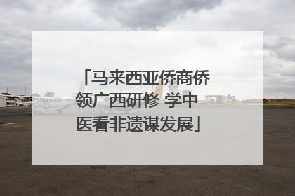 马来西亚侨商侨领广西研修 学中医看非遗谋发展