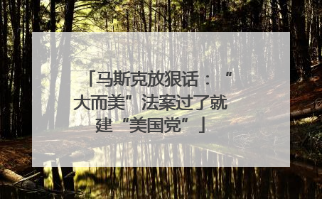 马斯克放狠话：“大而美”法案过了就建“美国党”