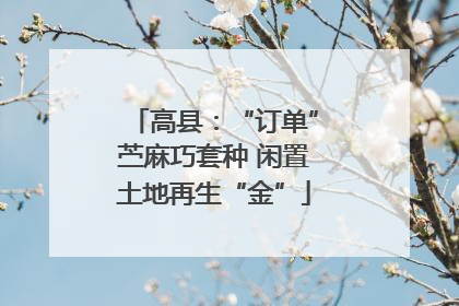 高县：“订单”苎麻巧套种 闲置土地再生“金”