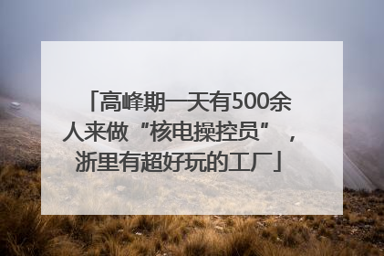 高峰期一天有500余人来做“核电操控员”，浙里有超好玩的工厂