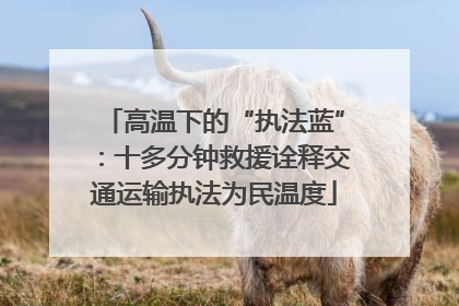 高温下的“执法蓝”：十多分钟救援诠释交通运输执法为民温度