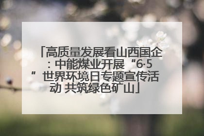 高质量发展看山西国企：中能煤业开展“6·5”世界环境日专题宣传活动 共筑绿色矿山