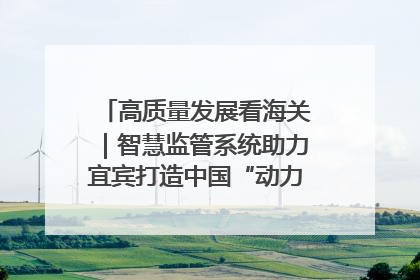 高质量发展看海关｜智慧监管系统助力宜宾打造中国“动力电池之都”
