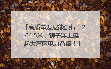 高质量发展能源行丨264.5米，狮子洋上挺起大湾区电力脊梁！