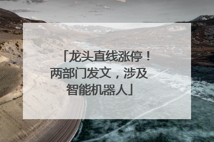 龙头直线涨停！两部门发文，涉及智能机器人