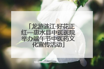 龙游涟江·好花正红—惠水县中医医院举办端午节中医药文化宣传活动