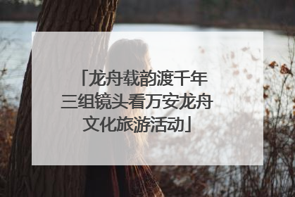 龙舟载韵渡千年 三组镜头看万安龙舟文化旅游活动