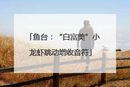 鱼台：“白富美”小龙虾跳动增收音符