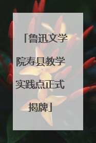 鲁迅文学院寿县教学实践点正式揭牌
