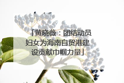 黄晓薇：团结动员妇女为海南自贸港建设贡献巾帼力量