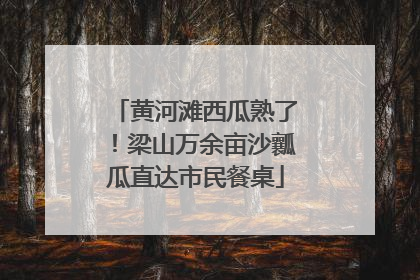 黄河滩西瓜熟了！梁山万余亩沙瓤瓜直达市民餐桌