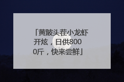 黄陂头茬小龙虾开炫，日供8000斤，快来尝鲜