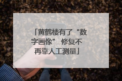 黄鹤楼有了“数字画像” 修复不再靠人工测量