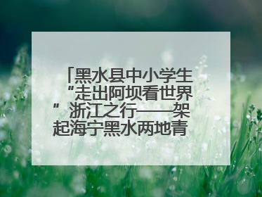 黑水县中小学生“走出阿坝看世界”浙江之行——架起海宁黑水两地青少年交往交流交融新桥梁