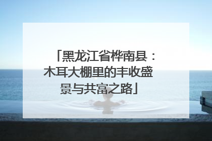 黑龙江省桦南县：木耳大棚里的丰收盛景与共富之路