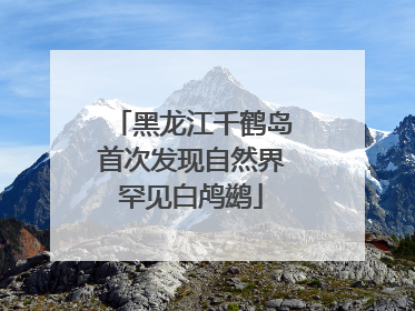黑龙江千鹤岛首次发现自然界罕见白鸬鹚