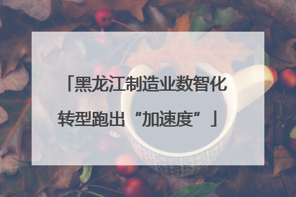 黑龙江制造业数智化转型跑出“加速度”
