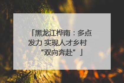 黑龙江桦南：多点发力 实现人才乡村“双向奔赴”