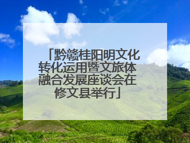 黔赣桂阳明文化转化运用暨文旅体融合发展座谈会在修文县举行