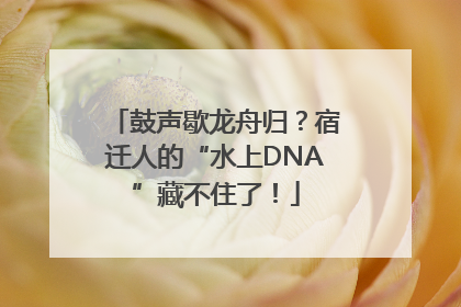 鼓声歇龙舟归？宿迁人的“水上DNA”藏不住了！