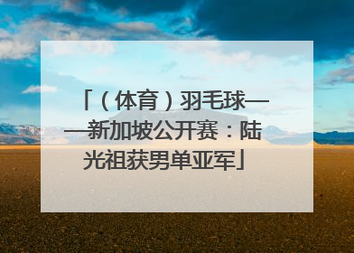 （体育）羽毛球——新加坡公开赛：陆光祖获男单亚军