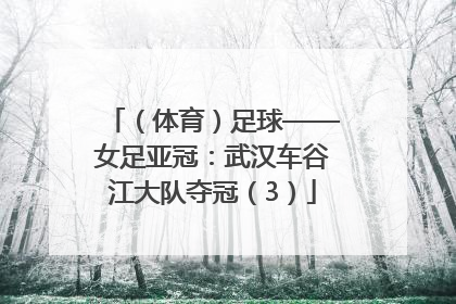 （体育）足球——女足亚冠：武汉车谷江大队夺冠（3）