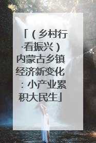 （乡村行·看振兴）内蒙古乡镇经济新变化：小产业累积大民生