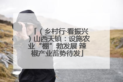 （乡村行·看振兴）山西天镇：设施农业“棚”勃发展 辣椒产业蓄势待发