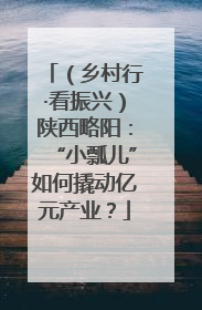 （乡村行·看振兴）陕西略阳：“小瓢儿”如何撬动亿元产业？