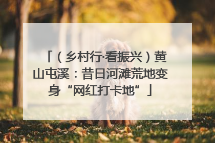 （乡村行·看振兴）黄山屯溪：昔日河滩荒地变身“网红打卡地”