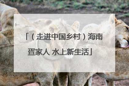 （走进中国乡村）海南疍家人 水上新生活