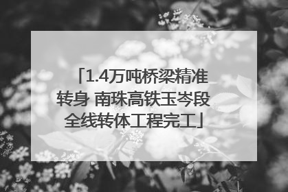 1.4万吨桥梁精准转身 南珠高铁玉岑段全线转体工程完工