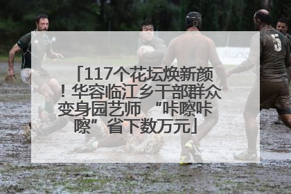 117个花坛焕新颜！华容临江乡干部群众变身园艺师 “咔嚓咔嚓”省下数万元