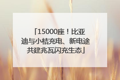 15000座！比亚迪与小桔充电、新电途共建兆瓦闪充生态