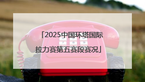 2025中国环塔国际拉力赛第五赛段赛况