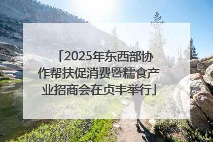 2025年东西部协作帮扶促消费暨糯食产业招商会在贞丰举行
