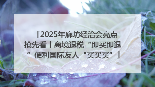 2025年廊坊经洽会亮点抢先看丨离境退税“即买即退”便利国际友人“买买买”