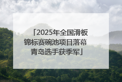 2025年全国滑板锦标赛碗池项目落幕 青岛选手获季军