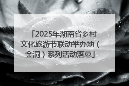2025年湖南省乡村文化旅游节联动举办地（金洞）系列活动落幕