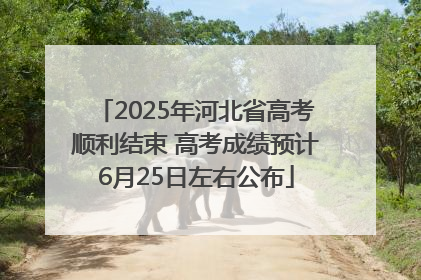 2025年河北省高考顺利结束 高考成绩预计6月25日左右公布