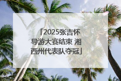 2025张吉怀导游大赛结束 湘西州代表队夺冠
