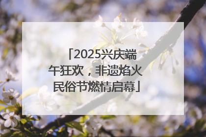 2025兴庆端午狂欢，非遗焰火民俗节燃情启幕