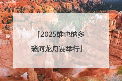 2025维也纳多瑙河龙舟赛举行